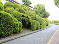 公共事業について