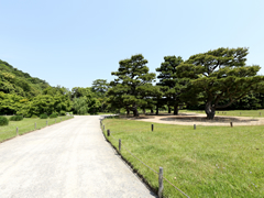 多くの人に美しい景観をお届けしたい